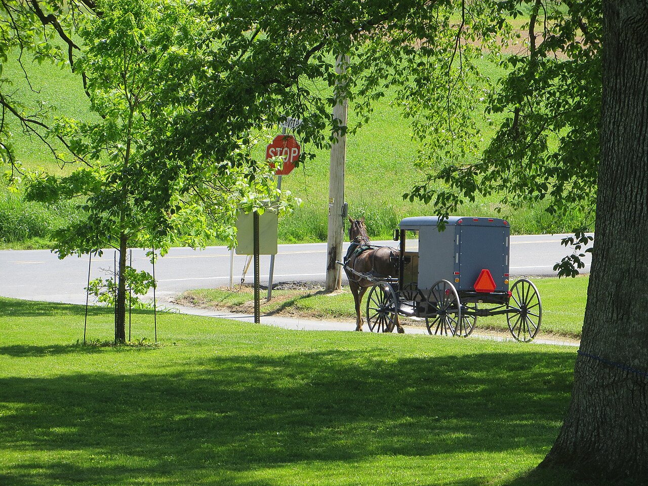 An Amish horse and buggy on a country road in Lancaster County, Pennsylvania
