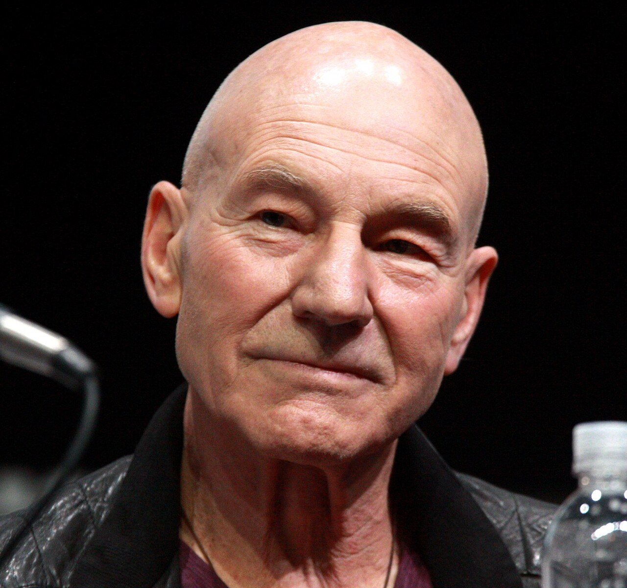 Photo of Patrick Stewart on a panel at San Diego Comic-Con in July 2013